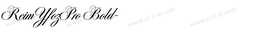 ReimYfozPro Bold字体转换